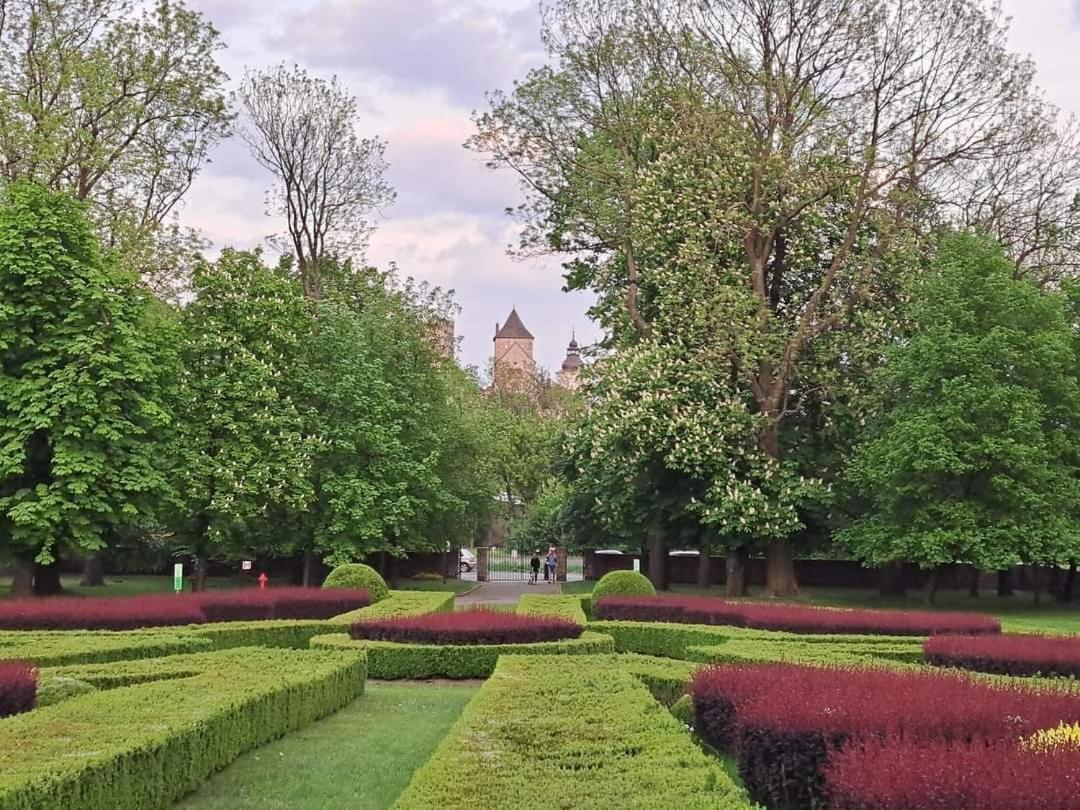 Apartament Zamkowy Będzin エクステリア 写真